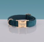 PAWSOME DOG COLLAR - #11
