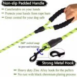 Luminous Reflective Strong Dog Leash - Image 5
