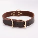 Petpals Comfortfit Dog Collar - Image 6