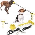 Outdoor Adventure Dog Leash Toy - Image 7