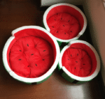 Juicy Oasis Pet Bed - Image 5