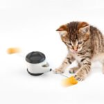 NEW! Pole Roller Cat Toy - Image 3