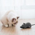 Remote Control Mouse Cat Toy - Image 3