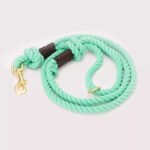 Dog Rope Leash - Teal