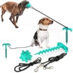 Outdoor Adventure Dog Leash Toy - Image 6