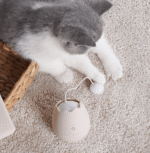 Playful Paws Interactive Cat Toy - Image 5