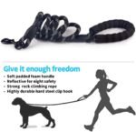 Luminous Reflective Strong Dog Leash - Image 4