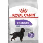 Royal canin sterilized maxi - 12 kg - dog food