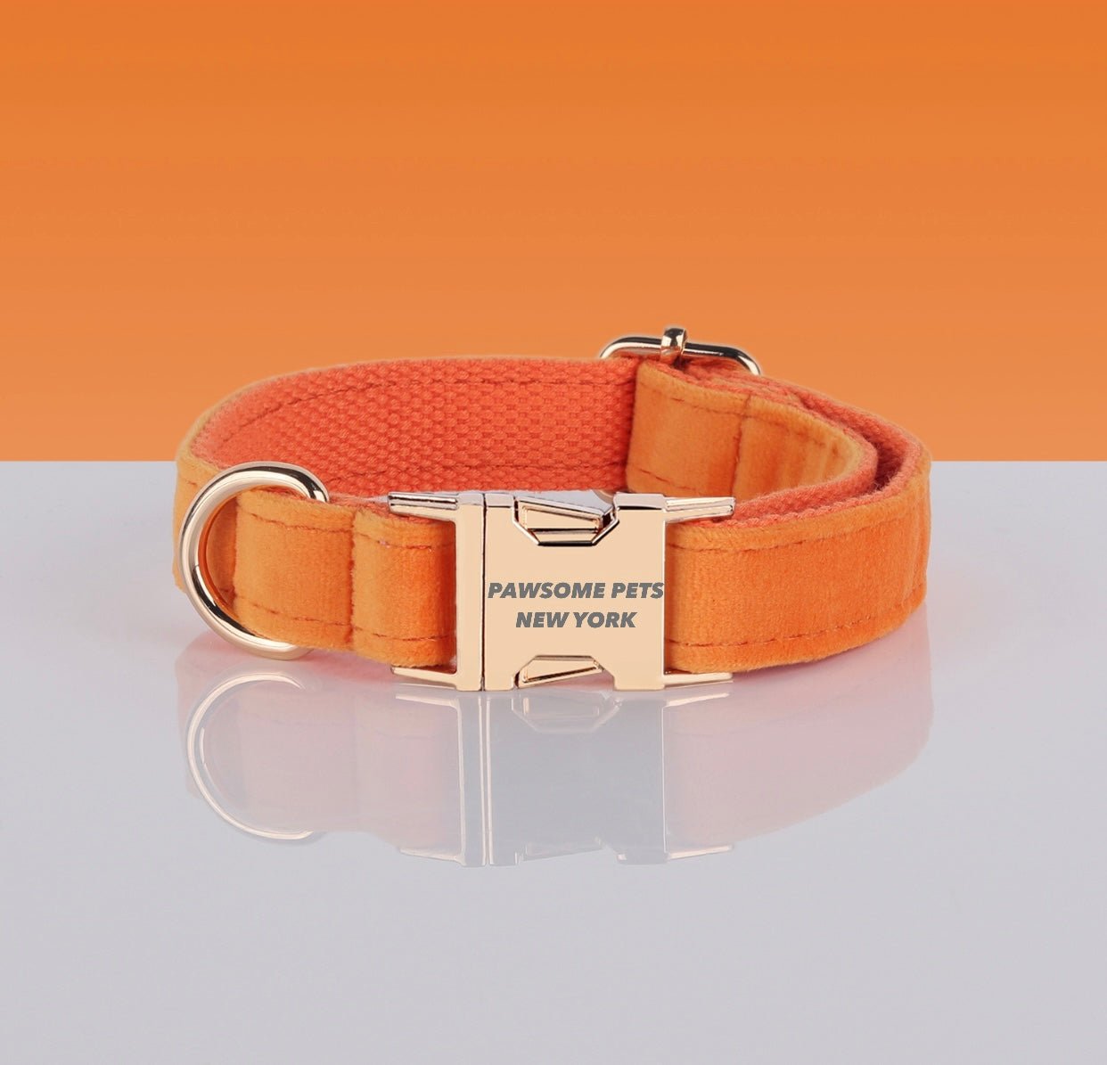 8C9575B4-3209-4850-BA36-377A4835A287.jpg PAWSOME DOG COLLAR - #5 - Image 1