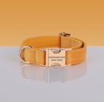 PAWSOME DOG COLLAR - #4