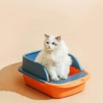 Fully Enclosed Cat Litter Box - The Ultimate Cat Kennel - Image 2