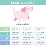 PAWSOME DOG COLLAR - #26 - Image 2
