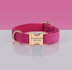 PAWSOME DOG COLLAR - #26