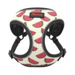 Dog Leash Vest - Image 24