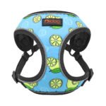 Dog Leash Vest - Image 13