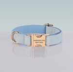 PAWSOME DOG COLLAR - #20