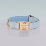 PAWSOME DOG COLLAR - #20
