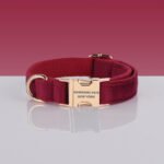 PAWSOME DOG COLLAR - #6
