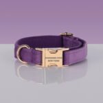 PAWSOME DOG COLLAR - #22