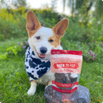 Beef Chips Dog Treats | Single-Ingredient Healthy Treats for Dogs - Image 4