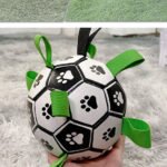 Lovely Paw Football Dog Toy