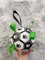 Lovely Paw Football Dog Toy - Image 10