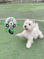 Lovely Paw Football Dog Toy - Image 4