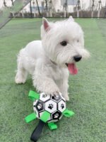 Lovely Paw Football Dog Toy - Image 5