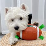 Lovely Paw Football Dog Toy - Image 8