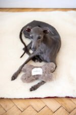 Natural Woolen Dog Toy - Bone - Beige - Image 2