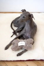 Natural Woolen Dog Toy - Bone - Beige - Image 3