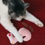 Plush Dog Toy - Image 5