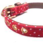 Polka Dot Fabric Dog Collar - Red - Image 3