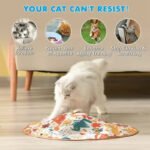 Smart Cat Toys - Image 2
