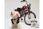 Single Ingredient, High Value Freeze-Dried Training Treats for Dogs & Cats - Beef Liver - Image 5
