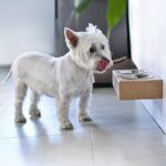 Wooden Elevated Dog Bowl Stand, 3 Sizes for Dogs and Cats - Image 6