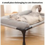 Pet Bed for Small to Medium Pets - Image 2
