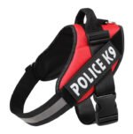 Dog leash - Image 10
